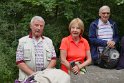 2018-05-24 10-23-57  Rando Fontainebleau DLe